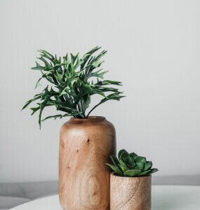 Wooden Greenery