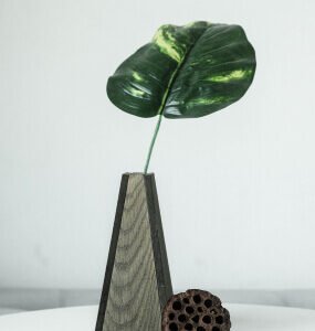 Unique Wooden Vase